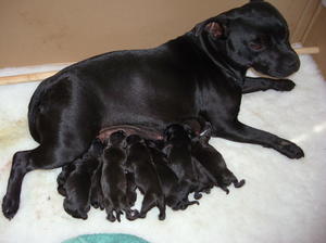 Brooke and her babies