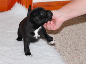Cheeky little girl 6 weeks