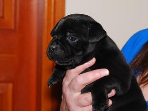 Lovely sister 6 weeks