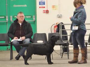 Manchester Champ Show 2016