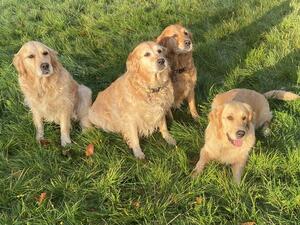 Poppy, Rosie and Maggie
