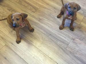 The boy is on the left