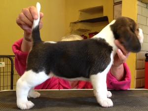One of the girls (5 weeks)