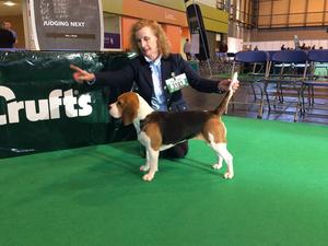 Dentonside Bluebell at Crufts 2017