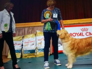 Best in Show with Judge Josie Lees