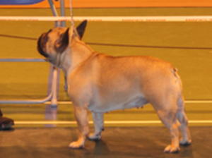 Minnie - Best Of Breed