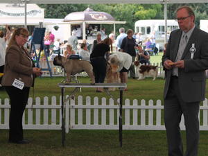 Richmond Ch.Show