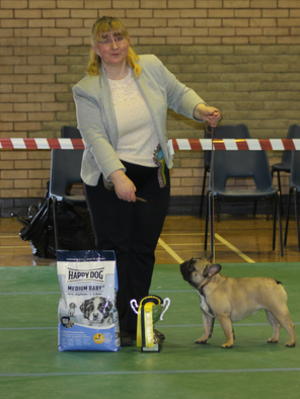 Res Best Puppy In Show