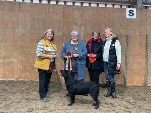 Best in Show with Judge and committee