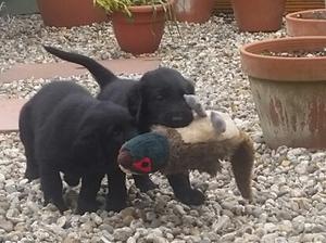 needing help with 