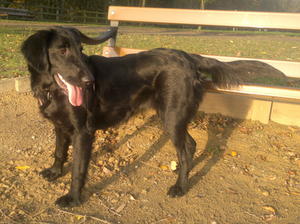 Tzara Oct. 2011