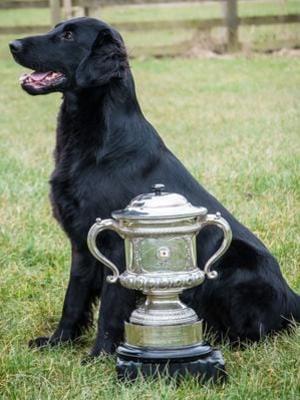 Fingal with his Trophy