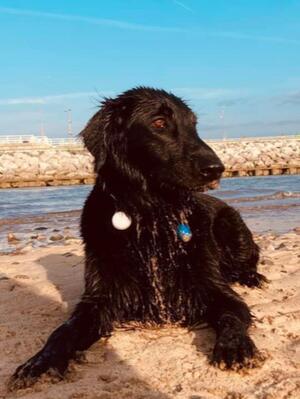 Reva at the beach