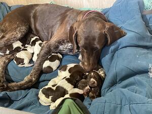 She is such a good and attentive mum.