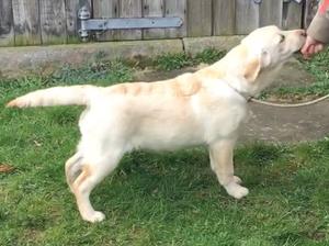 Ariel 29th March 2018