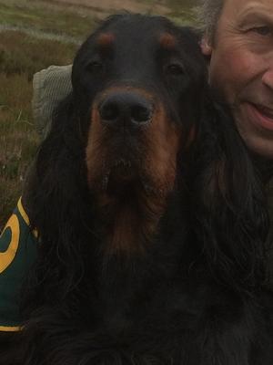 Ziva