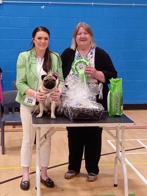 Eastonite Aramis Croftren Best puppy in show