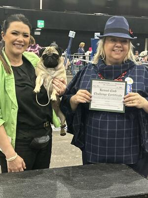 Gloria Winning her crowning 3rd CC at SKC!