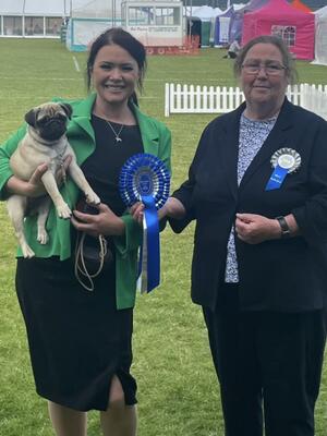 Heidi - Best baby puppy in show
