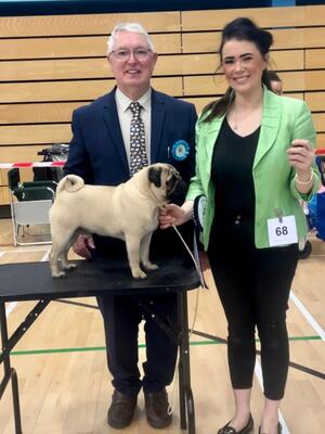 Eastonite Aramis Croftren Qualifying CRUFTS 2024