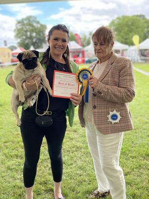 Gloria - Bitch CC and Best of breed