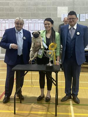 3rd Best puppy in show