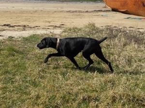 Tilly
