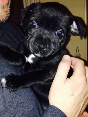 Only one little beautiful girl left .