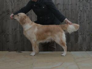 Caragh standing