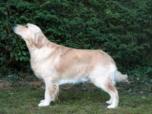 Ruairí at 21 months