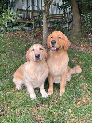 Both parents : Tola and Cian