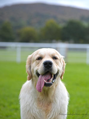 Ruairí in Wales