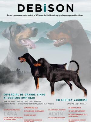 Advert