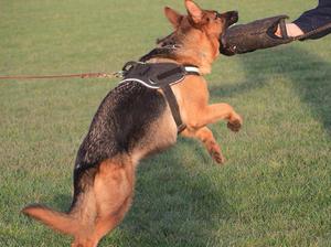 Protection Work