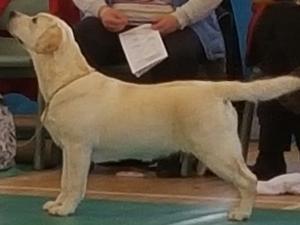 Alpha wave leminiscatus at Johdine (Rosie 6 months