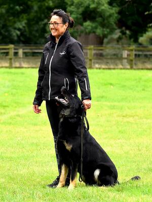 'Lakatamia Kit' standing at stud. d.o.b: 09/2020.