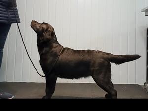 Mila @ 7 months
