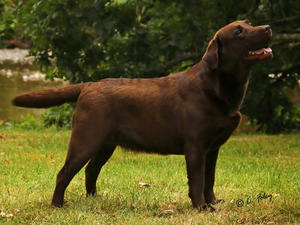 Sasha @ 2 years