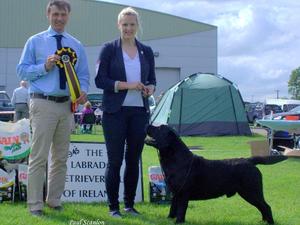 Zi winning BEST IN SHOW