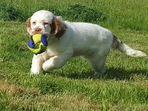 Luna at just under 5 months old