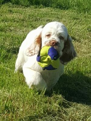 Luna at just under 5 months old