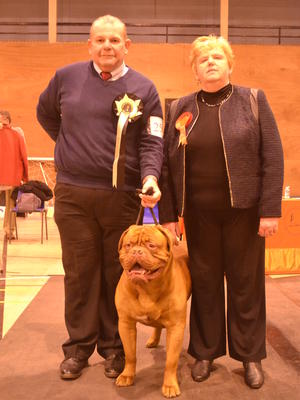 Best in Show Huddersfield Open