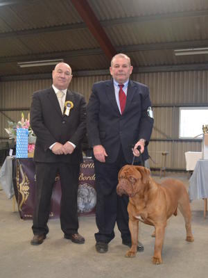 Northern DDB Club - Reserve Best Dog