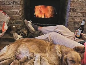 Mum with all the puppies enjoying the fire.