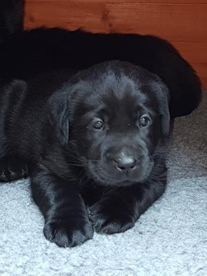 almost 5 weeks