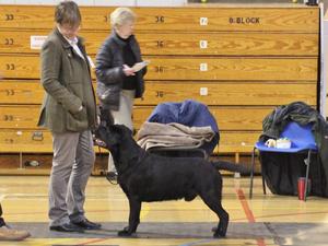 Three Counties Lab Club