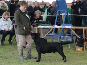 Gilbert at Southern Counties