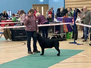 Eric winning Best of Breed