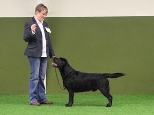 Gilbert winning RCC at Lab Club of NI