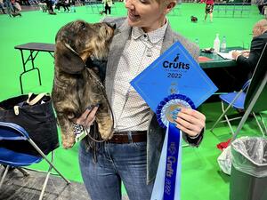 Beautiful blue! Crufts 2022 in Junior